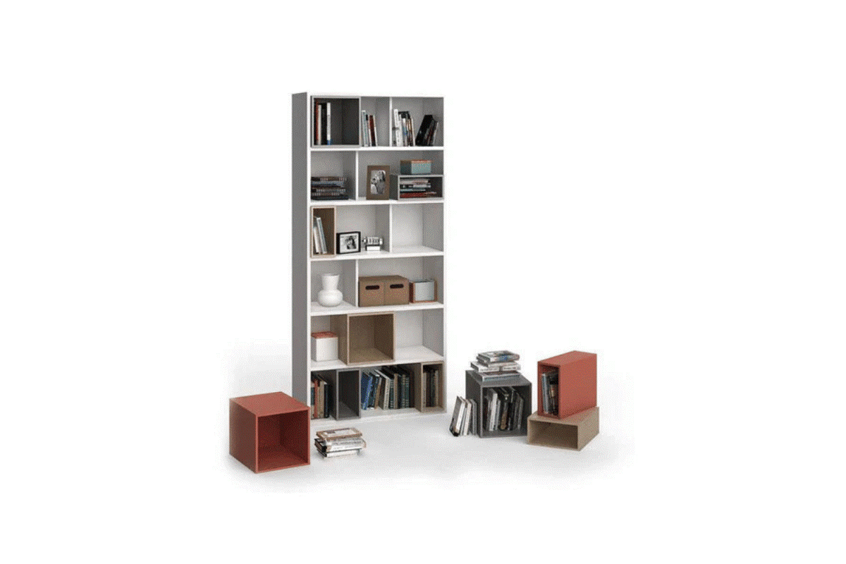 How to arrange books on shelves? Ideas for arranging a shelf Vox