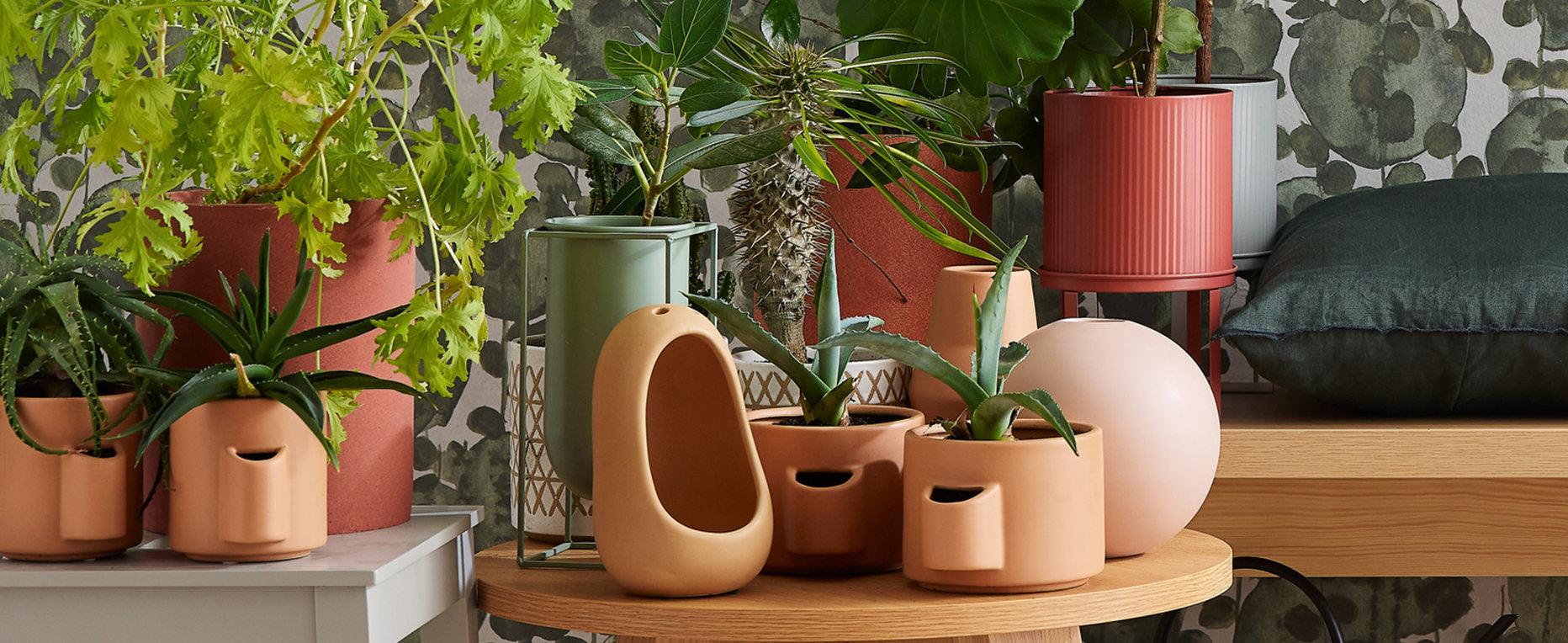 Buy Vases Online at Affordable Prices in Dubai Vox Furniture