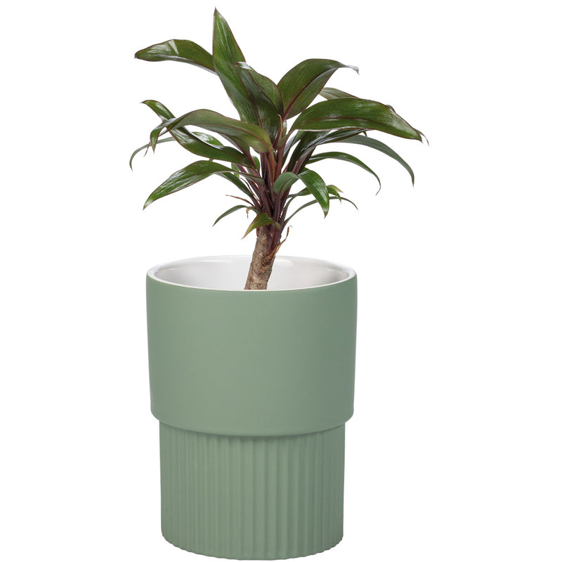 Botanik II flower pot cover - VOX Furniture UAE