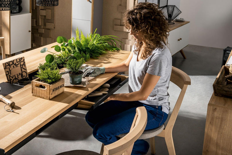 Dear Plant Parents of the UAE, does your furniture do you justice? - VOX Furniture UAE