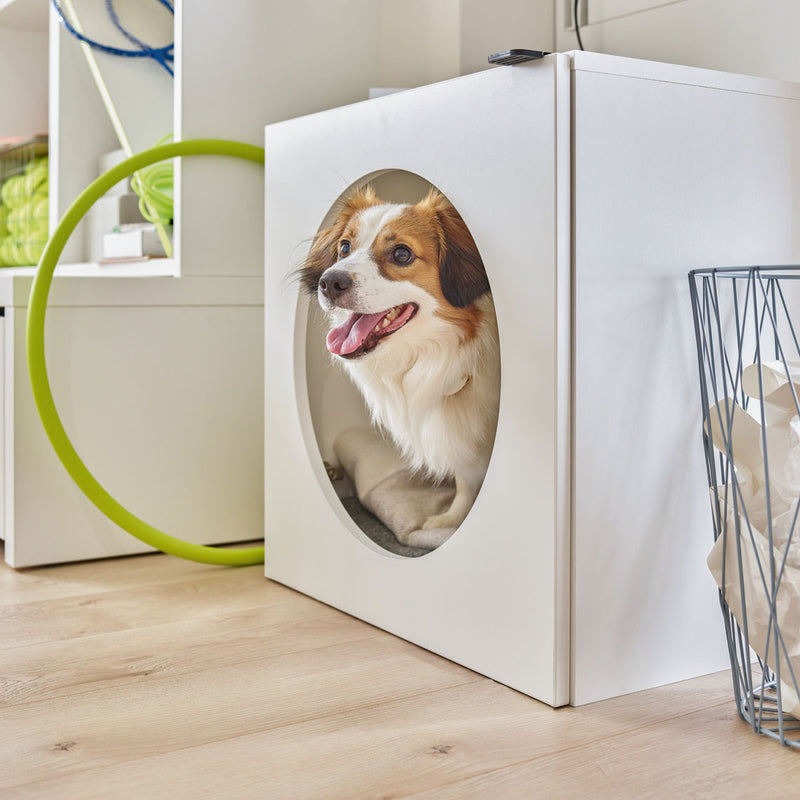 This is a cabinet for pets in cuboid shape. It has a front door with circular whole for easy access of pets.