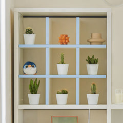 Filler for shelf - Krata shape with white body and pink & blue edges