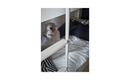 Bunk Bed Cum Single Bed 90x200 Cream Color - Left Sided Ladder