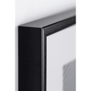 Photograph Cactus II