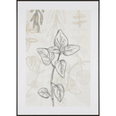 Graphics Meadow I ALU