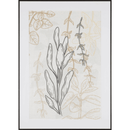 Graphics Meadow III ALU