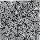 Graphics Web White and Black