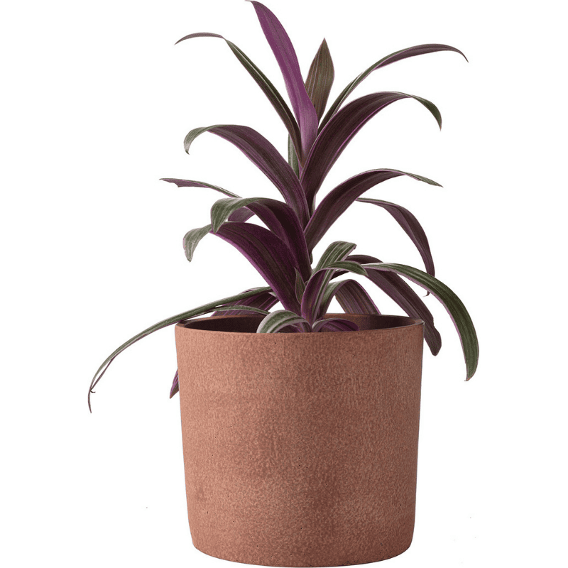 Medium plant pot Redo