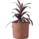 Medium plant pot Redo