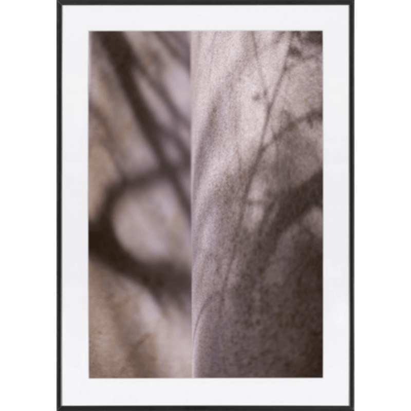 Photography Stone Conversation 2