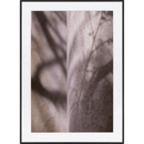 Photography Stone Conversation 2