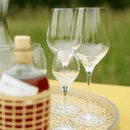 SPLENDOUR set of 6 glasses - Liquer