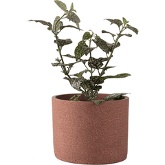 Small plant pot Redo