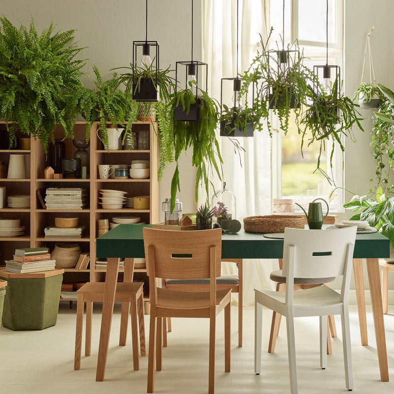 Green dining table with hanging lights & plants