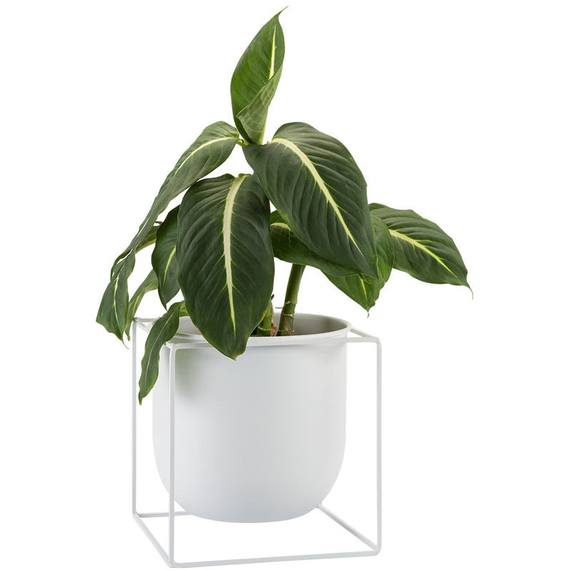 OVO Flowerpot - White