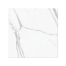 SPC Flooring Calacatta White 60x60 matt
