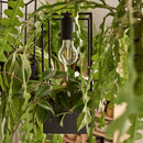 Lank hanging lamp - large, small