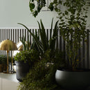 L-Line Grey Color - VOX Furniture UAE