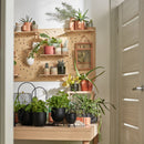 Pegboard Set 2 with pegs & shelves - 60x60 - VOX Furniture UAE