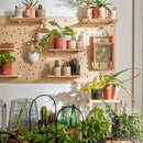 Pegboard Set 2 with pegs & shelves - 60x60 - VOX Furniture UAE