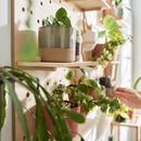 Pegboard Set 2 with pegs & shelves - 60x60 - VOX Furniture UAE