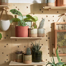 Pegboard Set 2 with pegs & shelves - 60x60 - VOX Furniture UAE