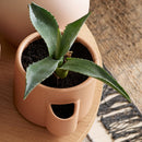 BRI I - VOX Furniture UAE