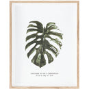 Picture Botaniq I - VOX Furniture UAE