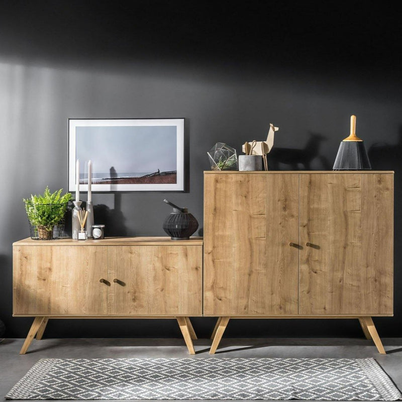 2 Door Tall Cabinet