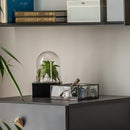 Sevi glass organizer box - VOX Furniture UAE