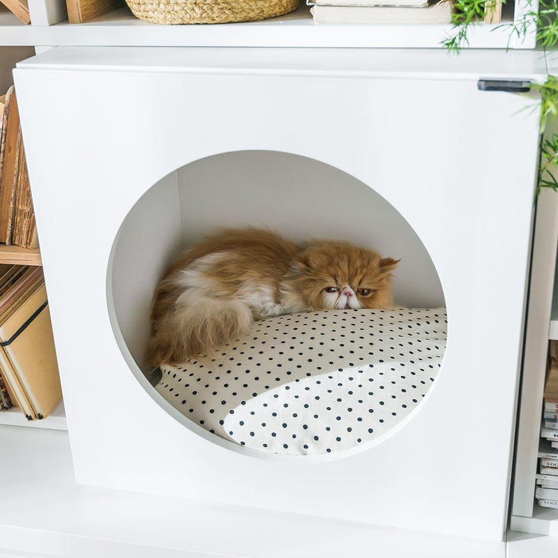 Pet cabinet - VOX Furniture UAE