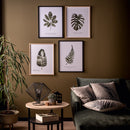 Picture Botaniq I - VOX Furniture UAE