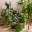 Yule hut wall shelf - VOX Furniture UAE